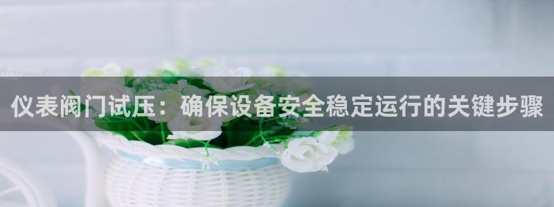 新宝一gg测速