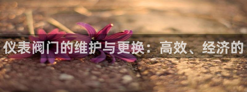 新宝gg平台登录 新宝GG