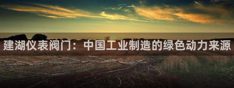 新宝gg平台下载安装