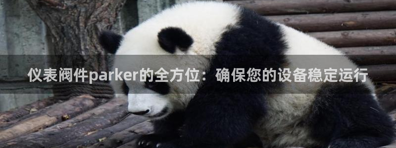 新宝gg新宝5注册