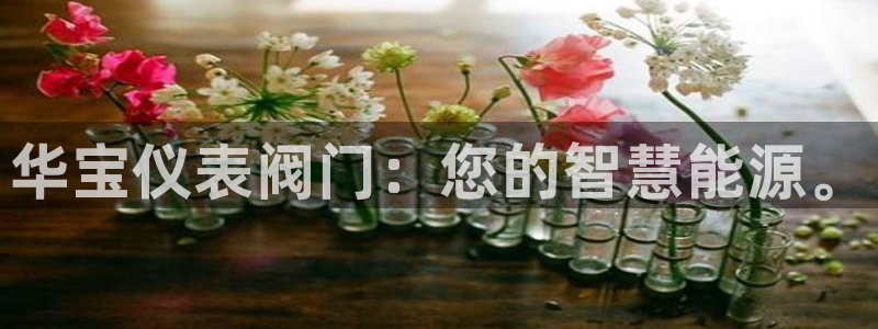 新宝gg注册新宝GG注册登录