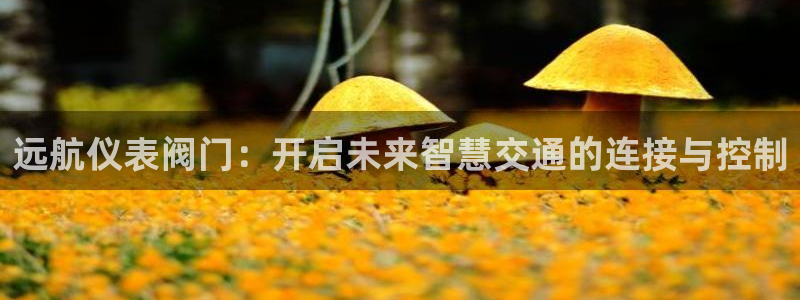 新宝gg官网登录找代理