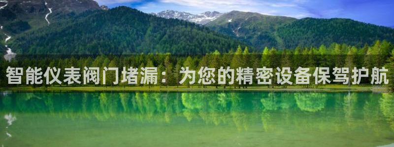 新宝GG登录网页