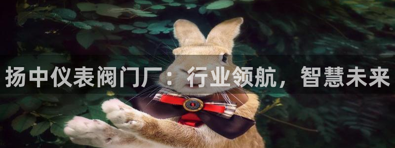 新宝gg指定平台