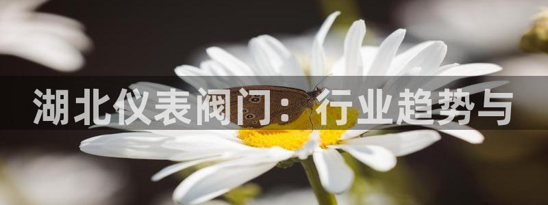 新宝gg登录页面