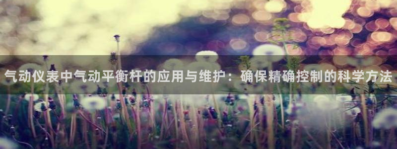 新宝gg游戏平台