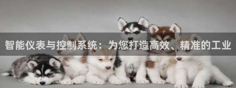 新宝GG手机客户端