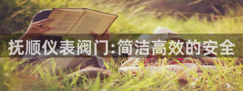 新宝gg娱乐平台