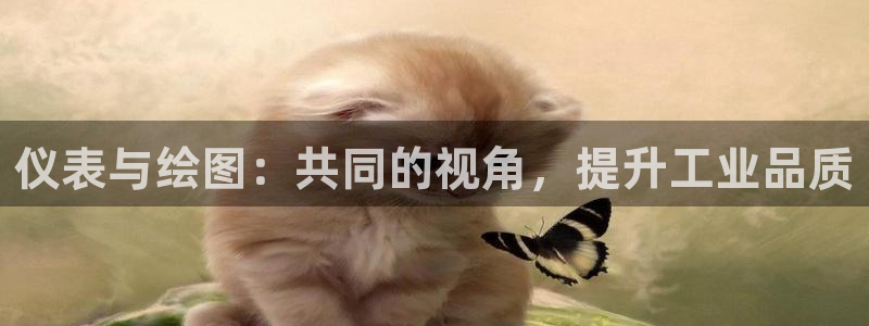 新宝gg创造奇迹