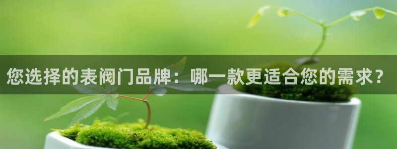 新宝gg代理条件