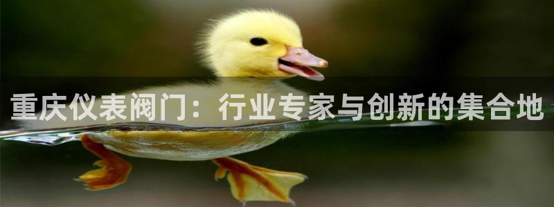 新宝gg开户流程