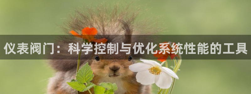 新宝gg游戏登录