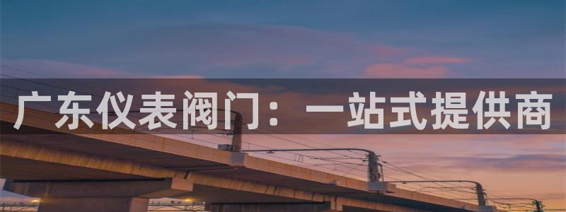 广东新宝电器gg
