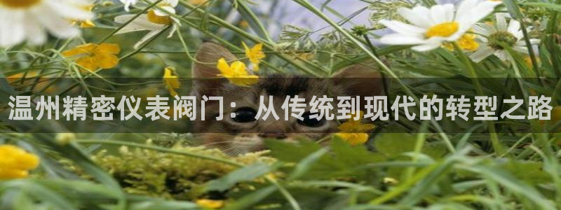 新宝gg注册jhjinde