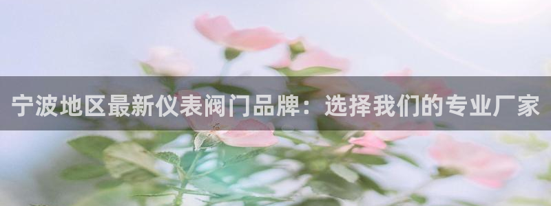 新宝娱gg