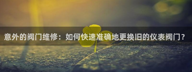 新宝gg登录平台