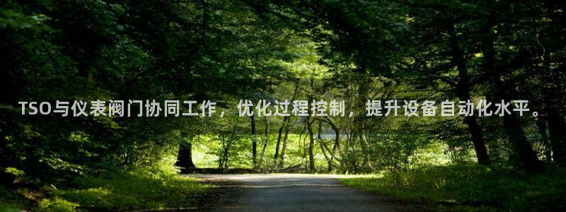 新宝GG都有哪些计划