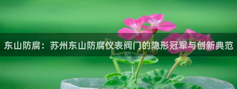 新宝gg主管花木兰