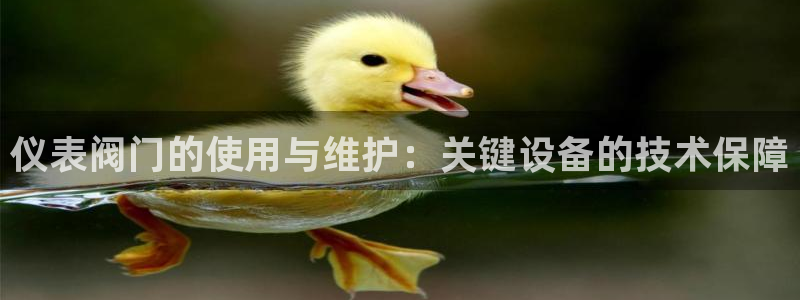 新宝gg主管开