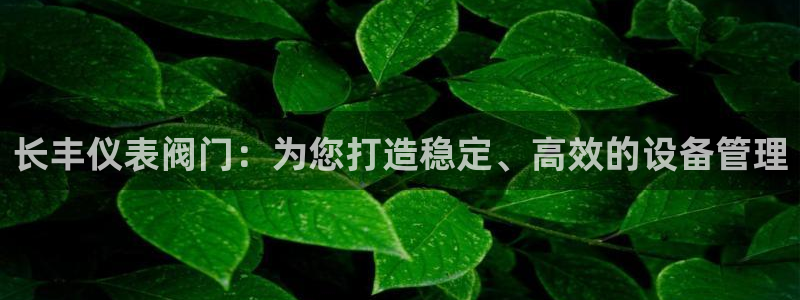 新宝gg群