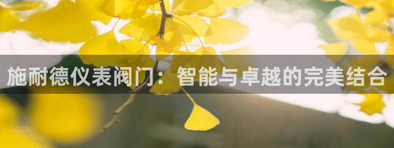 新宝gg主管花木兰