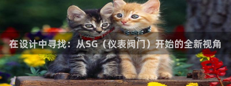 新宝GG主管41333