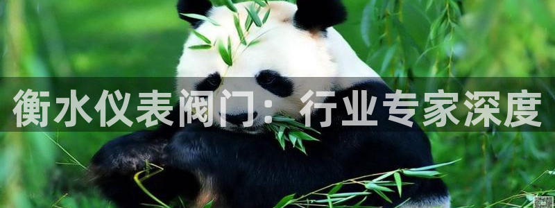 新宝gg平台登录 新宝GG