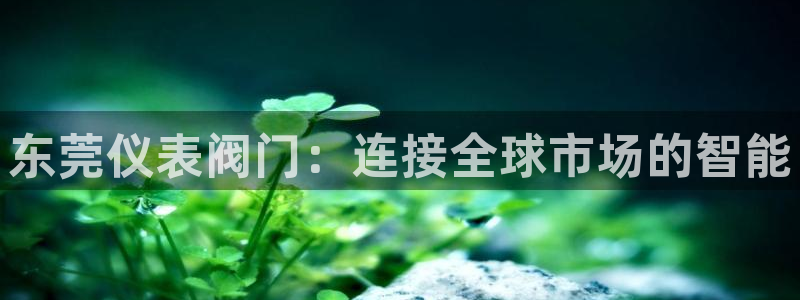 新宝 gg平台