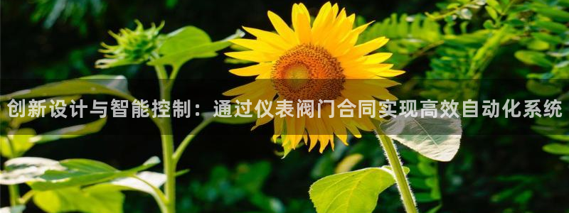 新宝gg主管、