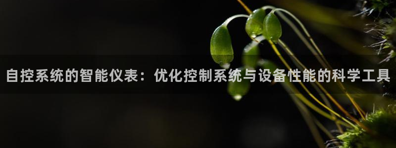 新宝gg欢迎