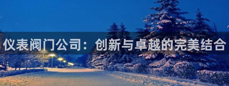 新宝gg登录宝